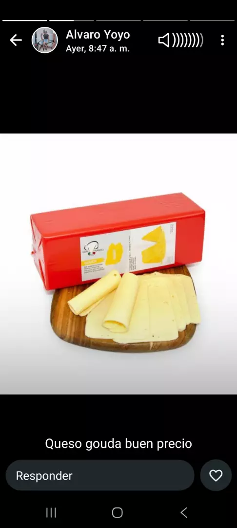 Queso Gouda