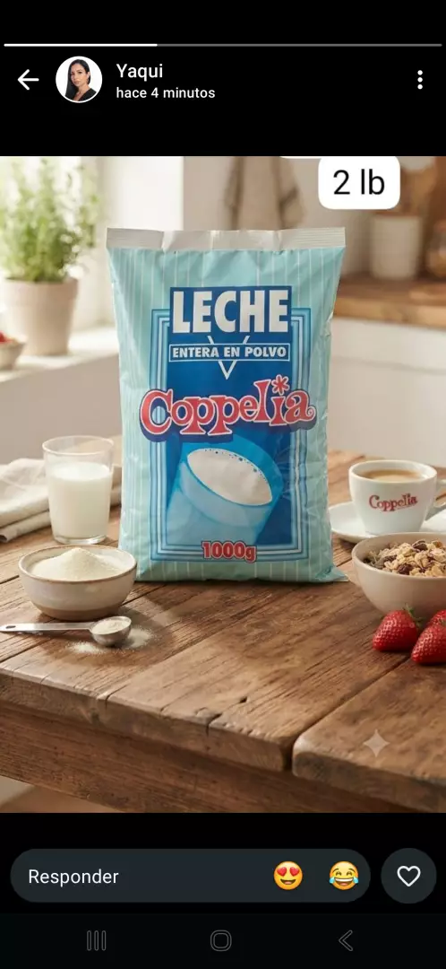 Leche en polvo