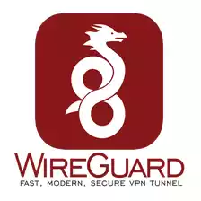 VPN